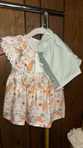 Bunny/Carrot Shorts Set